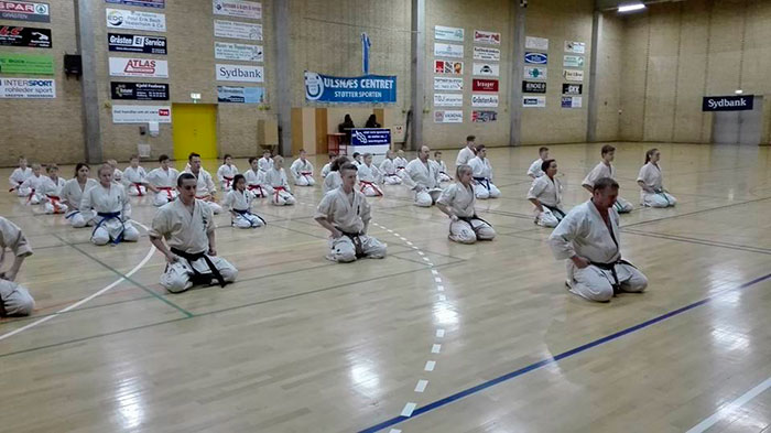 Gråsten Karate Klub sparkede den sidste rest af året ud af deres kroppe til juletræningen. Foto Signe Svane Kryger