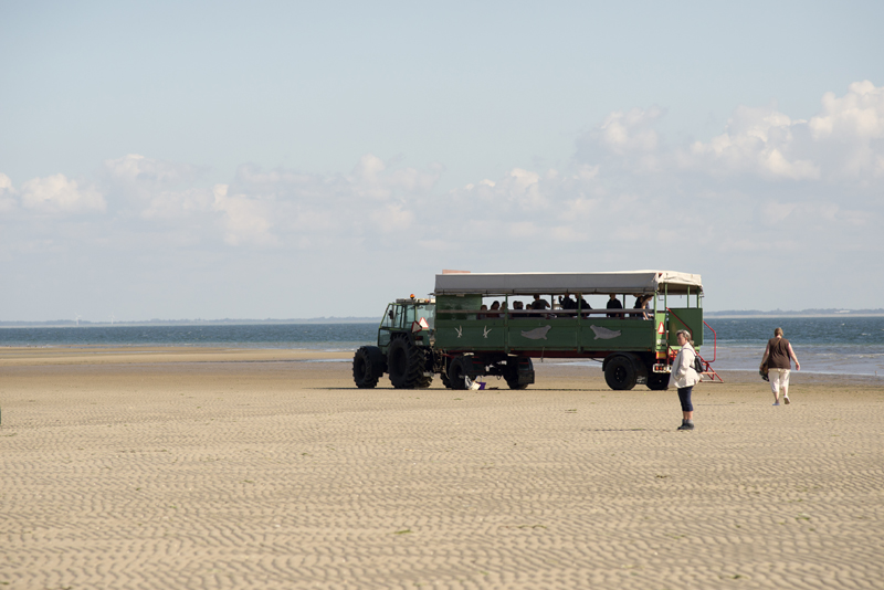 1-dags tur til Mandø