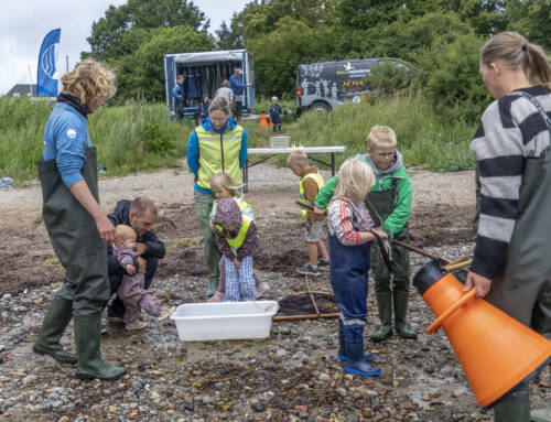 Strandsafari i Alnor Strandpark