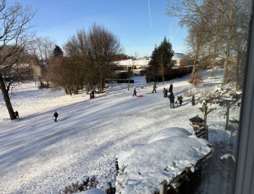 En uge med usædvanligt vintervejr i Bov