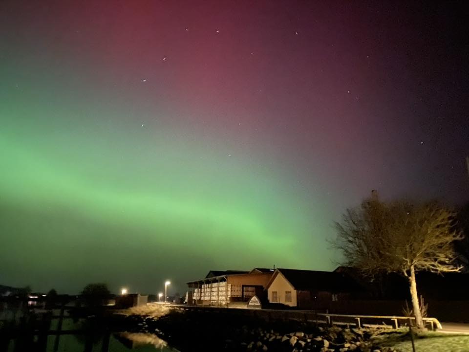 nordlys egernsund 19 jan 26 Birgit Toft-Jensen 2