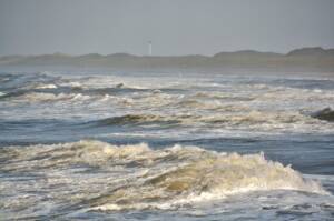 1-dags udflugt til Vestkysten og Thyborøn