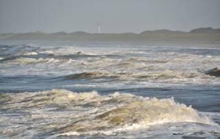 1-dags udflugt til Vestkysten og Thyborøn