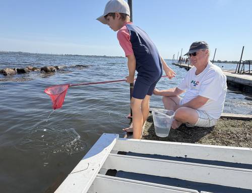 Krabberæs i Alnor Strandpark