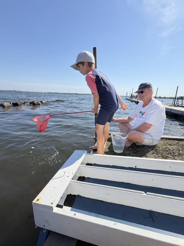 Krabberæs i Alnor Strandpark