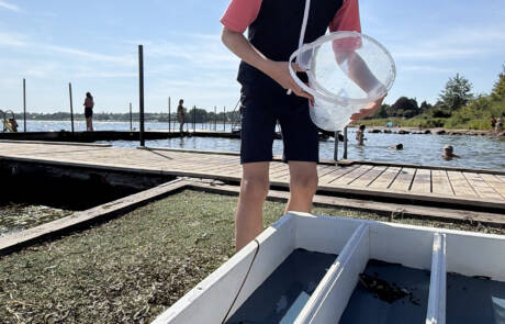 Krabberæs i Alnor Strandpark