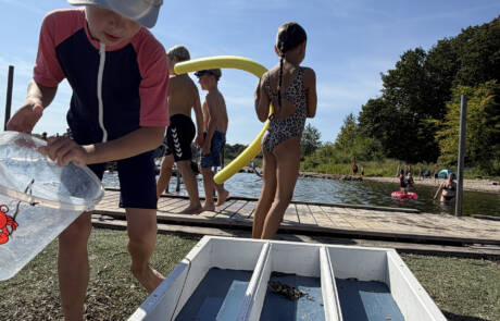 Krabberæs i Alnor Strandpark