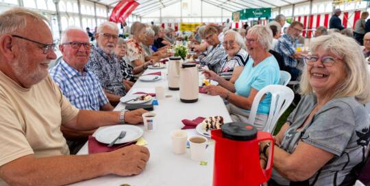 Ældrematiné samlede 60 deltagere