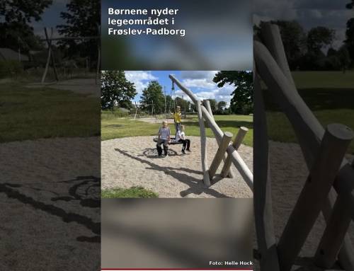 Børnene nyder legeområdet i Frøslev-Padborg Fritidspark