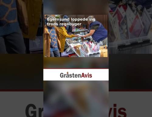 Egernsund loppede sig trods regnbyger