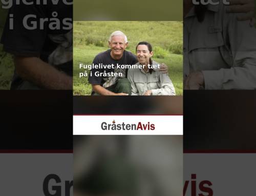 Fuglelivet kommer tæt på i Gråsten