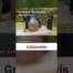 Historisk slotsklokke får nyt liv