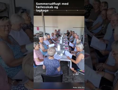 Sommerudflugt med fællesskab og lagkage