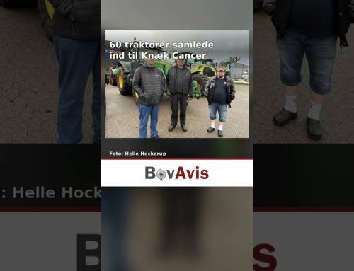 60 traktorer samlede ind til Knæk Cancer