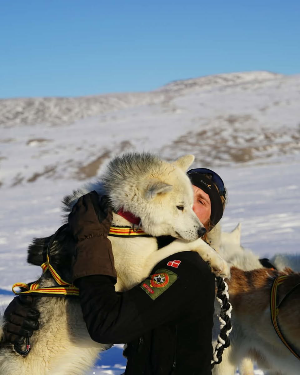 Sirius-soldat krammer en hvid slædehund i det snedækkede Nordøstgrønland
