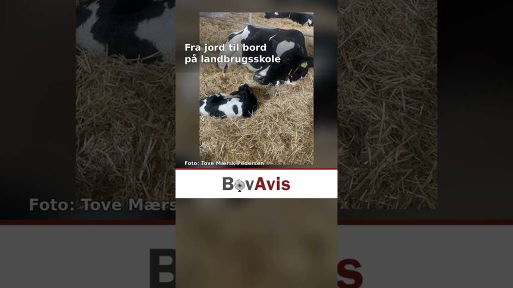 Fra jord til bord på landbrugsskole