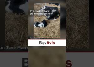 Fra jord til bord på landbrugsskole