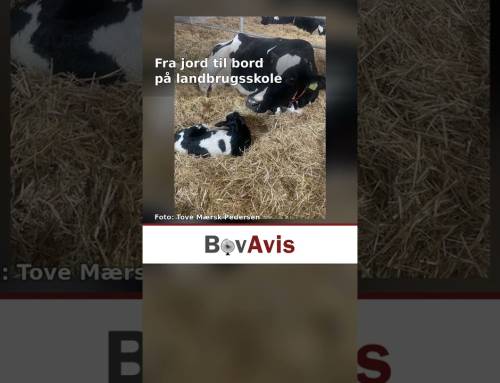 Fra jord til bord på landbrugsskole