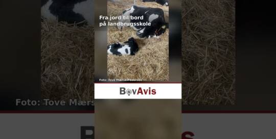 Fra jord til bord på landbrugsskole