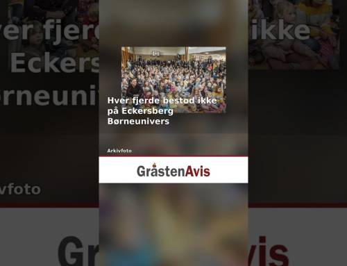 Hver fjerde bestod ikke på Eckersberg Børneunivers