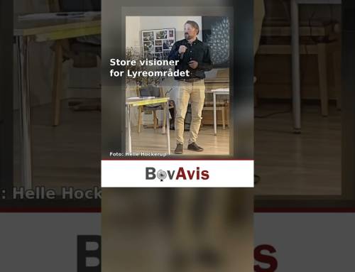 Store visioner for Lyreområdet i Padborg