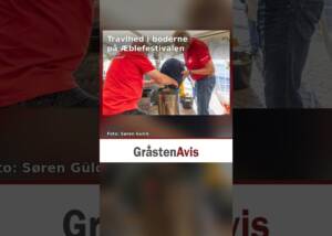 Travlhed i boderne på Æblefestivalen