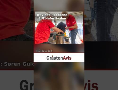 Travlhed i boderne på Æblefestivalen