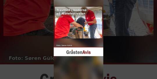 Travlhed i boderne på Æblefestivalen